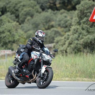 Riderrafagas2023 Motodeportv 565
